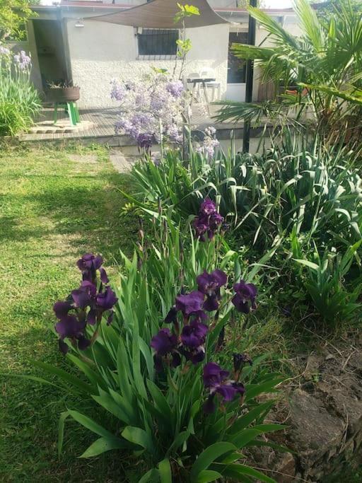 Studio Buena Vista Avec Terrasse Sur Jardin 布龙 外观 照片