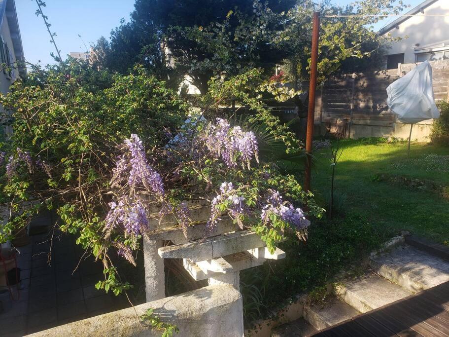 Studio Buena Vista Avec Terrasse Sur Jardin 布龙 外观 照片